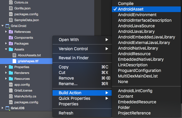 AndroidAsset